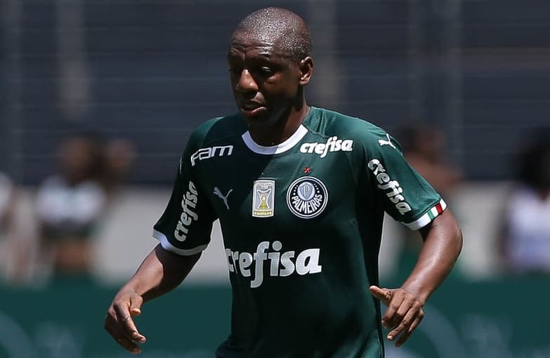 amaral_despedida_ze_roberto_palmeiras