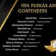 Lista dos indicados ao Prêmio Puskas (Foto: Reprodução)