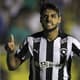 Botafogo vence e garante o retorno à Série A (foto:Vitor Silva/SSPRESS)