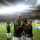Palmeiras Allianz 17 (Foto: Reginaldo Castro)