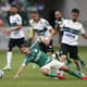 Campeonato Brasileiro - Palmeiras x Coritiba (foto:Ari Ferreira/LANCE!Press)