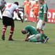 Campeonato Paulista - Palmeiras x Linense (foto:Reginaldo Castro/LANCE!Press)