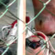 Adriano desfalcou o Fla em 2009, após surgir com uma queimadura no pé, feita supostamente durante um passeio de moto