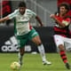 Luan jogou pela primeira vez no ano (FOTO: Cesar Greco/Palmeiras)