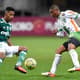 O líder Palmeiras duelará com o &nbsp;América-MG no próximo domingo