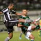 Airton - Botafogo x Palmeiras