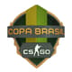 Copa Brasil de CS:GO