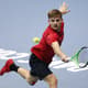 David Goffin defende a Bélgica em busca de título da Copa Davis