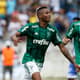 Fernando - Palmeiras x Taubaté