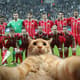 Bayern brinca com a invasão do gato