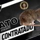 Internet não perdoa invasão de rato durante Vasco x Bahia
