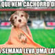 Os melhores memes de Vasco 1 x 4 Corinthians