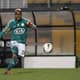 Marcos Assunção - Palmeiras - 2012
