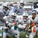 Ataque do Miami Dolphins comemora touchdown