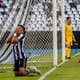 Botafogo perdeu para o Bahia no Nilton Santos. Confira a seguir imagens do confronto