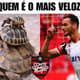 Torcedores do Flamengo demonstram irritação após derrota para o Botafogo