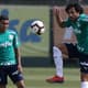 Palmeiras de Dudu e Ricardo Goulart chegará à final se vencer o Choque-Rei no Allianz