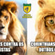 Memes do Brasileirão: Bahia 3 x 2 Corinthians