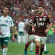 Flamengo x Palmeiras - Comemoração