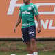Jean Palmeiras