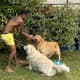 Neymar e seus cachorros