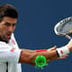 Novak Djokovic - Tenista