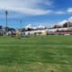 Chacaritas x Atlético Santo Domingo - Jogadores deitados no gramado por ataque de abelhas