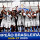 Fluminense - Campeão Brasileiro sub-17