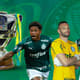 Final Copa do Brasil - Palmeiras