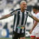 Botafogo x Náutico - Rafael Navarro
