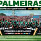 Imagem do poster do Palmeiras campeão