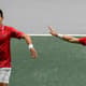 Novak Djokovic e Nikola Cacic comemoram ponto na Copa Davis