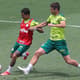 Kuscevic e Dudu treinam no Palmeiras