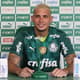 Apresentação - Rafael Navarro - Palmeiras