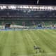 Allianz Parque - Pré-jogo Palmeiras x Athletico-PR