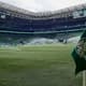 Allianz Parque - Pré-jogo Palmeiras x Santos