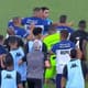 Fluminense x Botafogo - confusão com árbitro