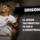 Erison - Botafogo