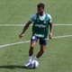 Wesley - Treino Palmeiras
