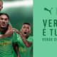 Nova Terceira Camisa Palmeiras