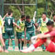 Palmeiras x Novorizontino - Paulistão sub-15