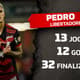 Pedro, Flamengo