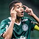 Palmeiras - Gabriel Vareta