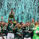 Palmeiras Campeão Supercopa