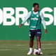 Endrick - Palmeiras