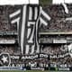Botafogo - Torcida