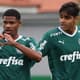 Palmeiras Sub-17 / Sub-15