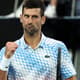 Novak Djokovic comemora na final