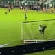 Figueirense