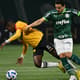 Palmeiras